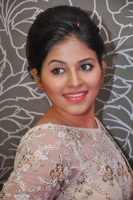 Tamil Actress Anjali New Pics In Saree 12